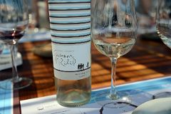05-12 Torrentes Wine Tasting At Gimenez Rilli On The Uco Valley Wine Tour Mendoza.jpg